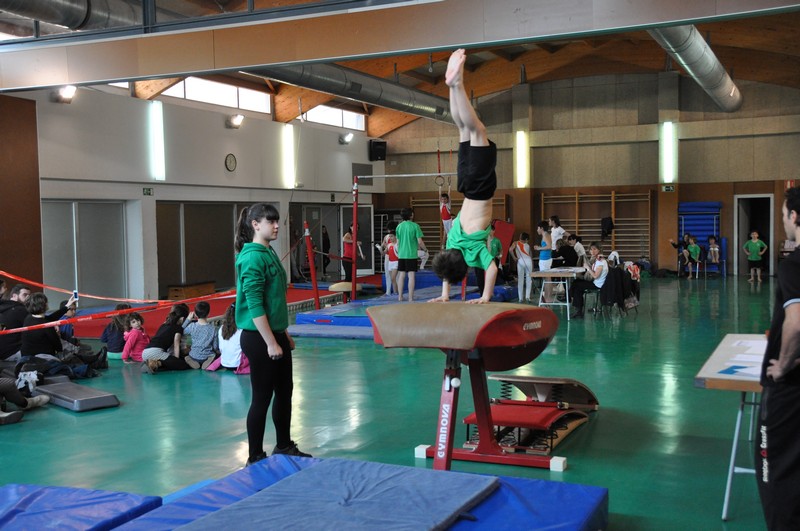 Campeonato Navarro de GAM en Zizur Mayor